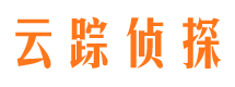 平武侦探